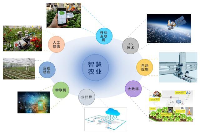 聚焦农业科技 智慧农业的特点、破局之道与未来趋势