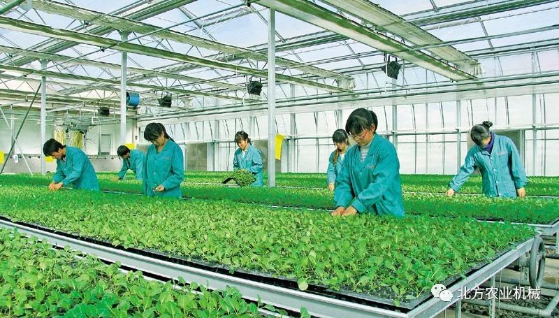 农业工厂 农业产业化的新风向与科技发展的融合