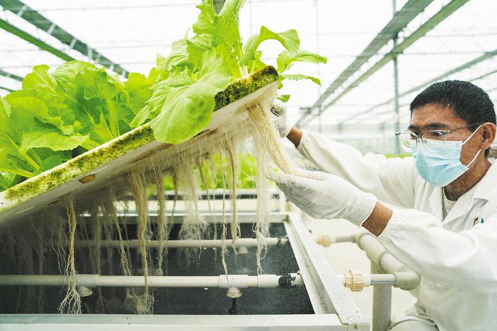 肥东:打造自动化"植物工厂"