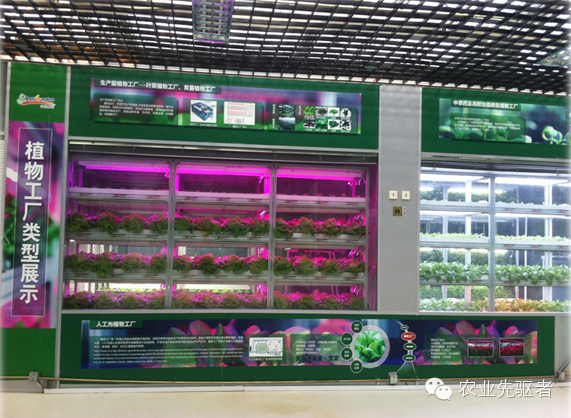 植物工厂-